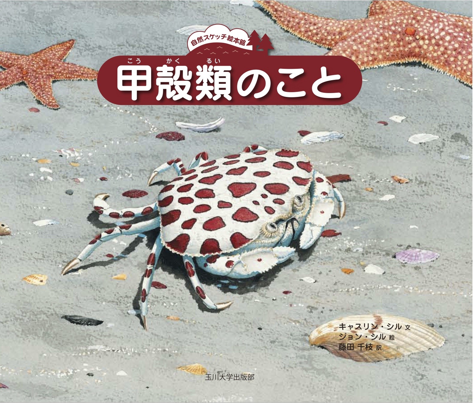 メイン画像