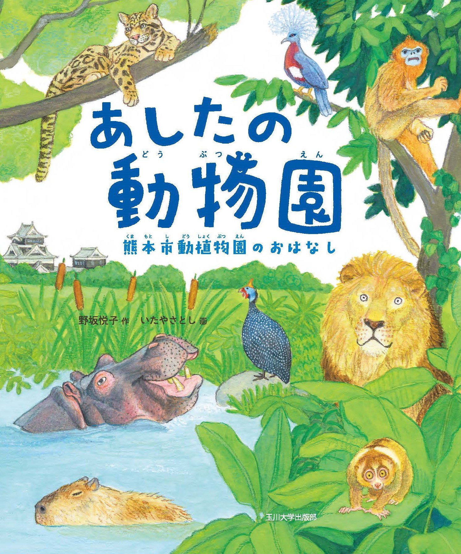 メイン画像