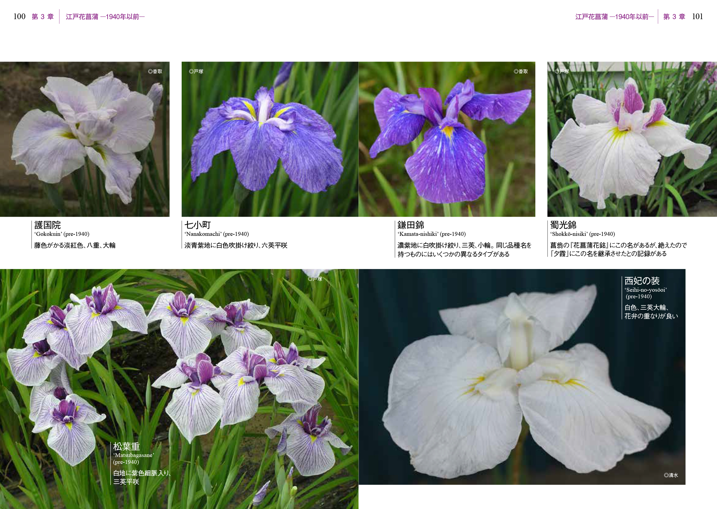 サムネイル画像2