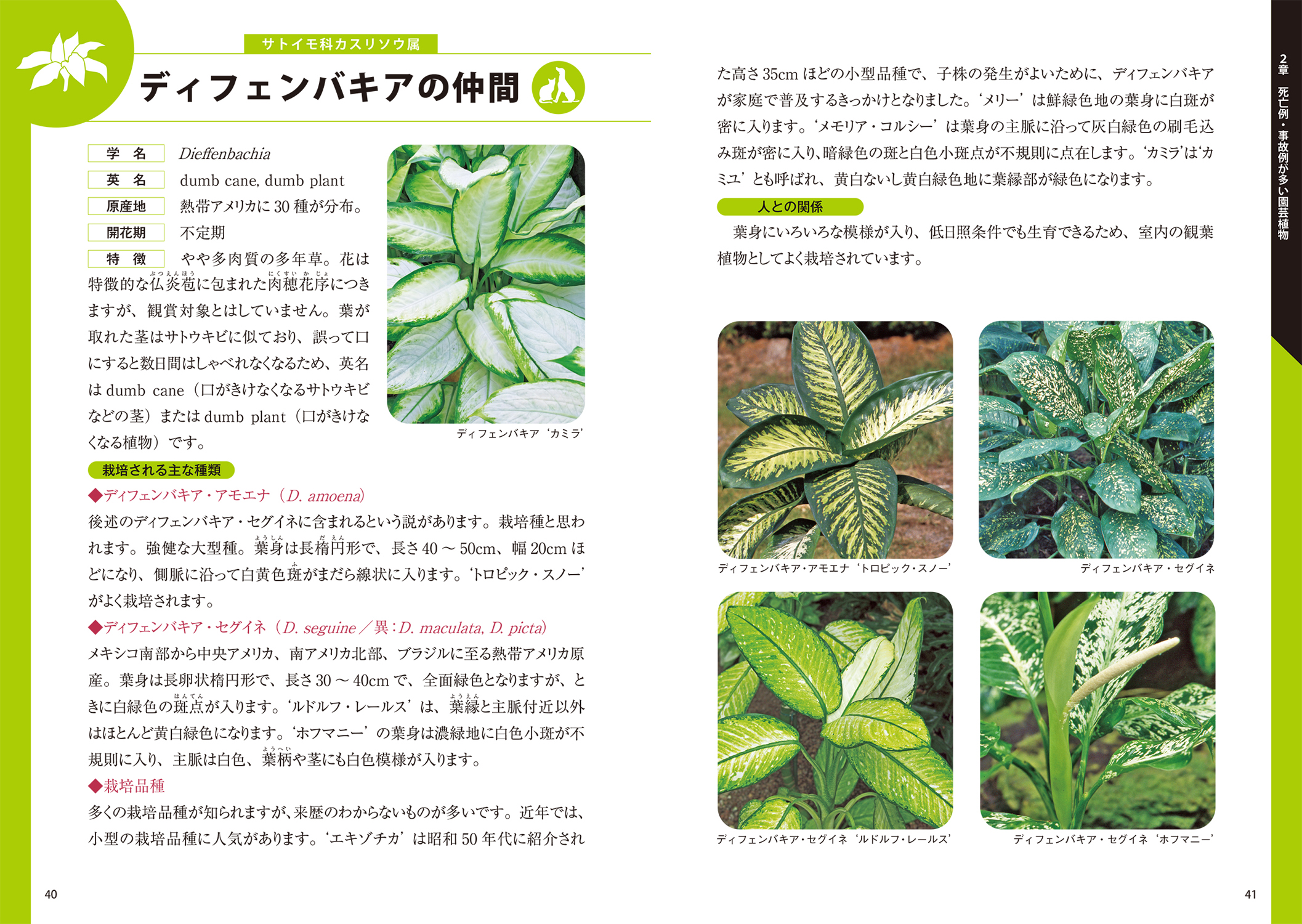サムネイル画像3