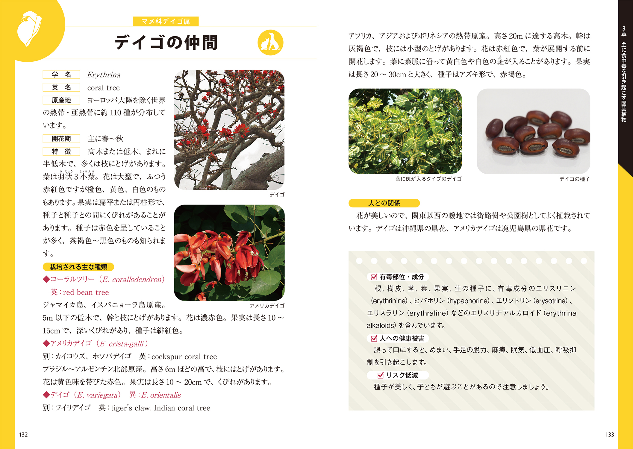 サムネイル画像4