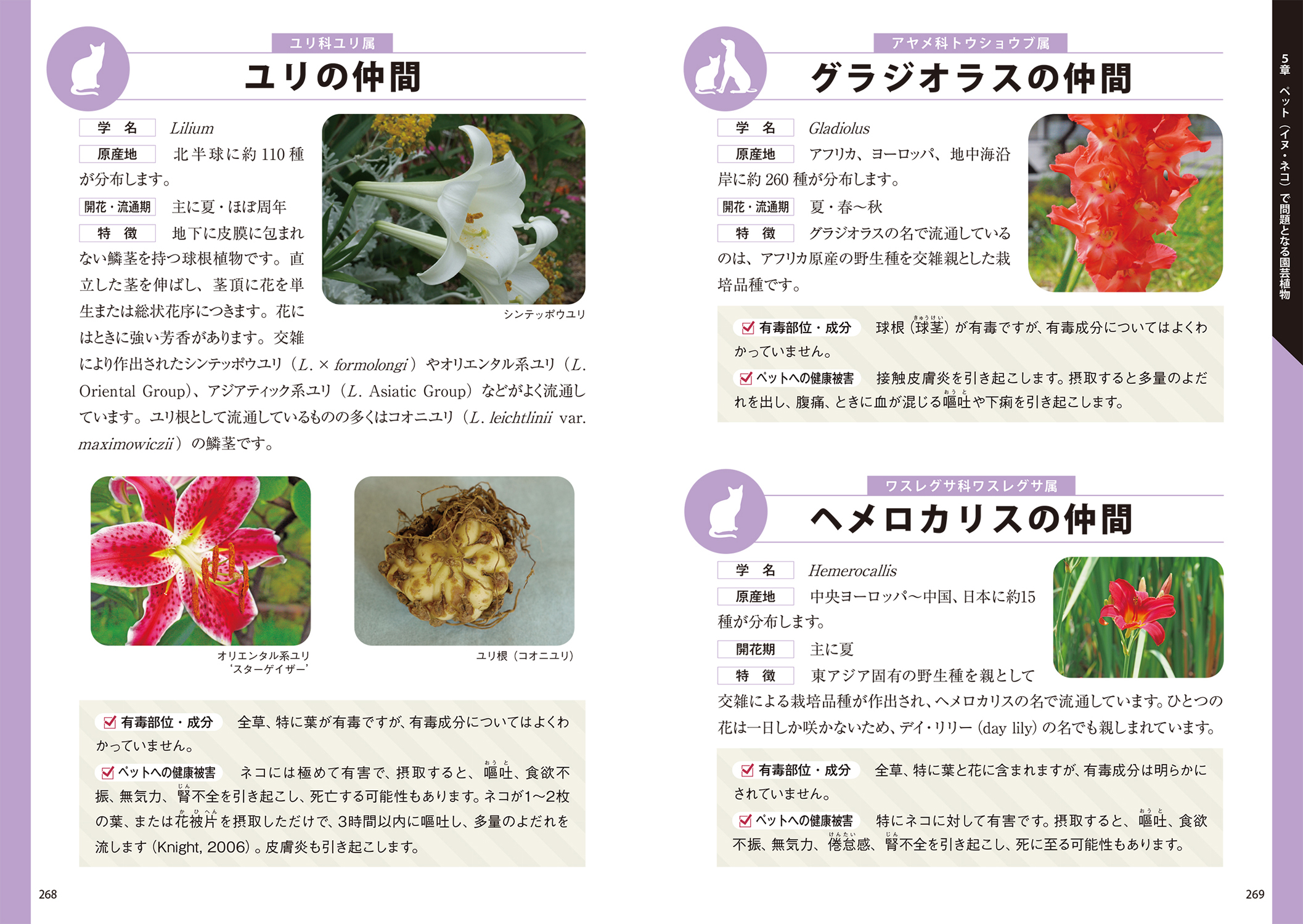 サムネイル画像5