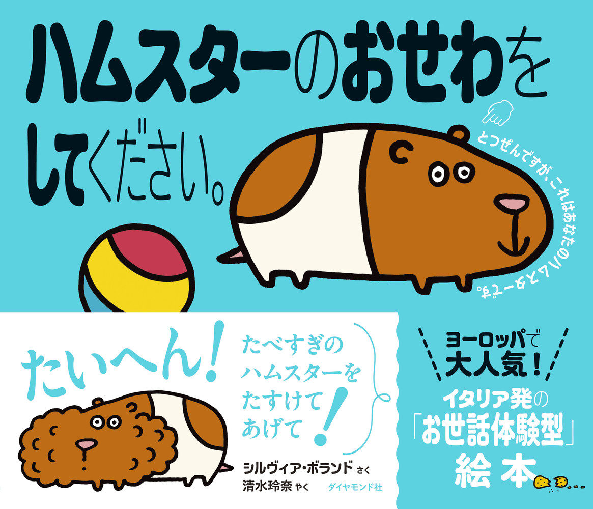 メイン画像