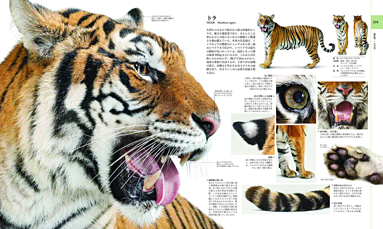 サムネイル画像2