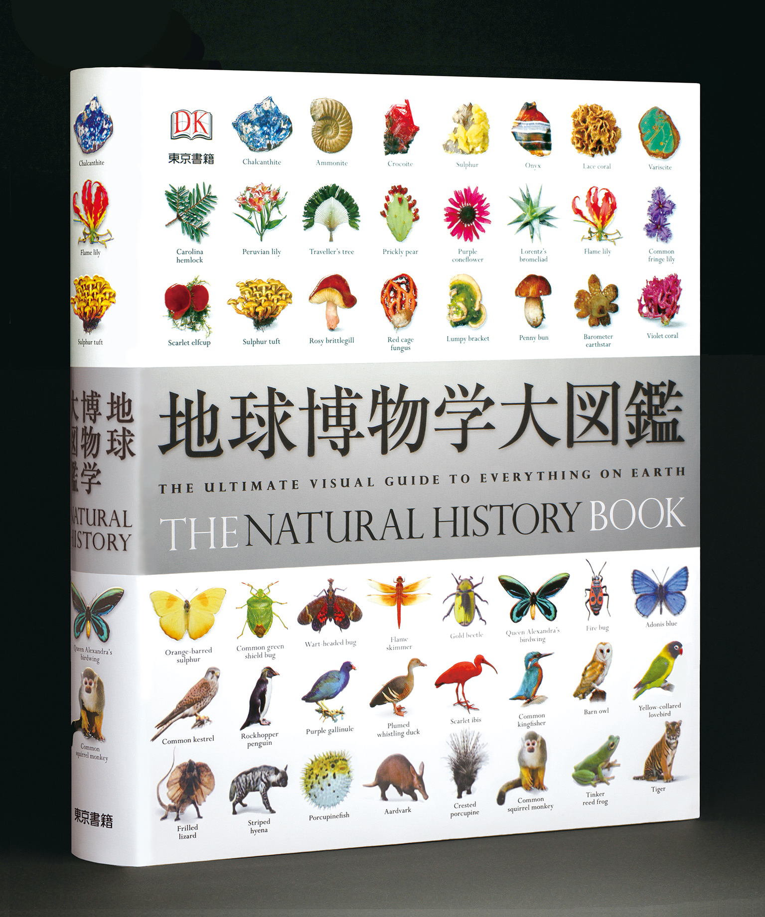 Amazon.co.jp: 地球博物学大図鑑 新訂版 eBook : デイヴィッド