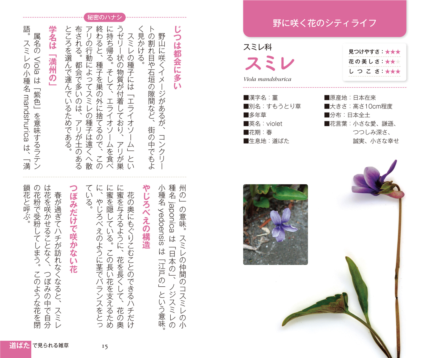 サムネイル画像2