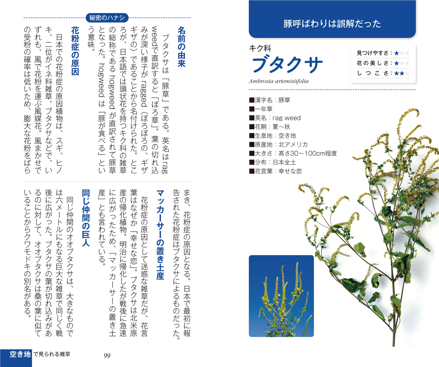 サムネイル画像3