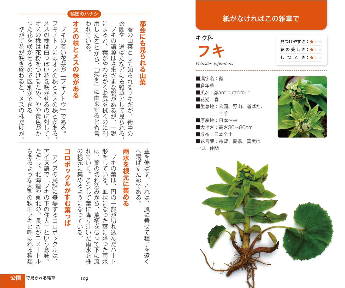 サムネイル画像4