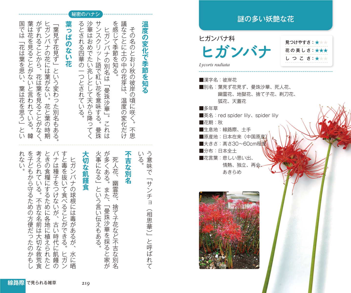 サムネイル画像5