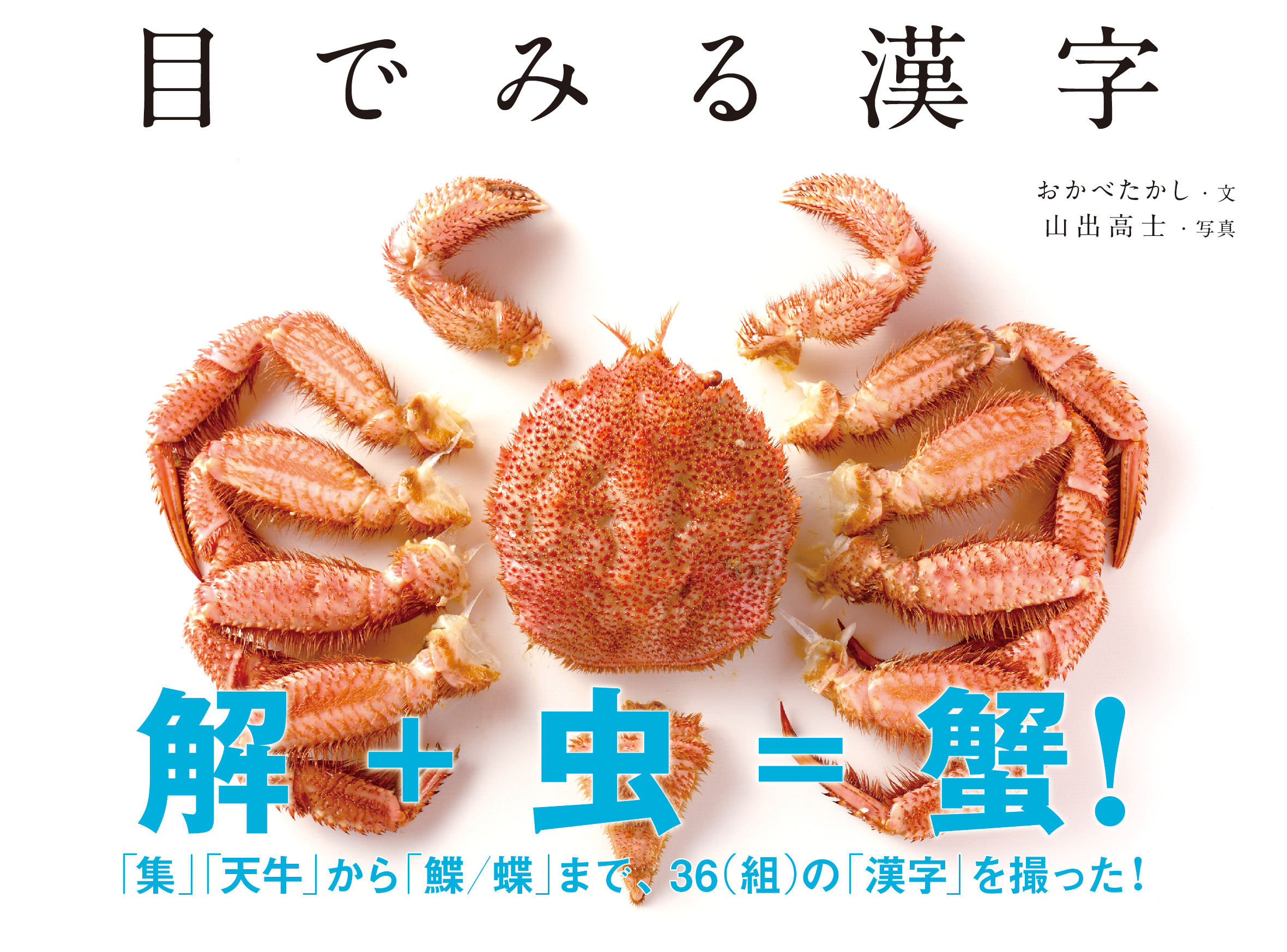 サムネイル画像1