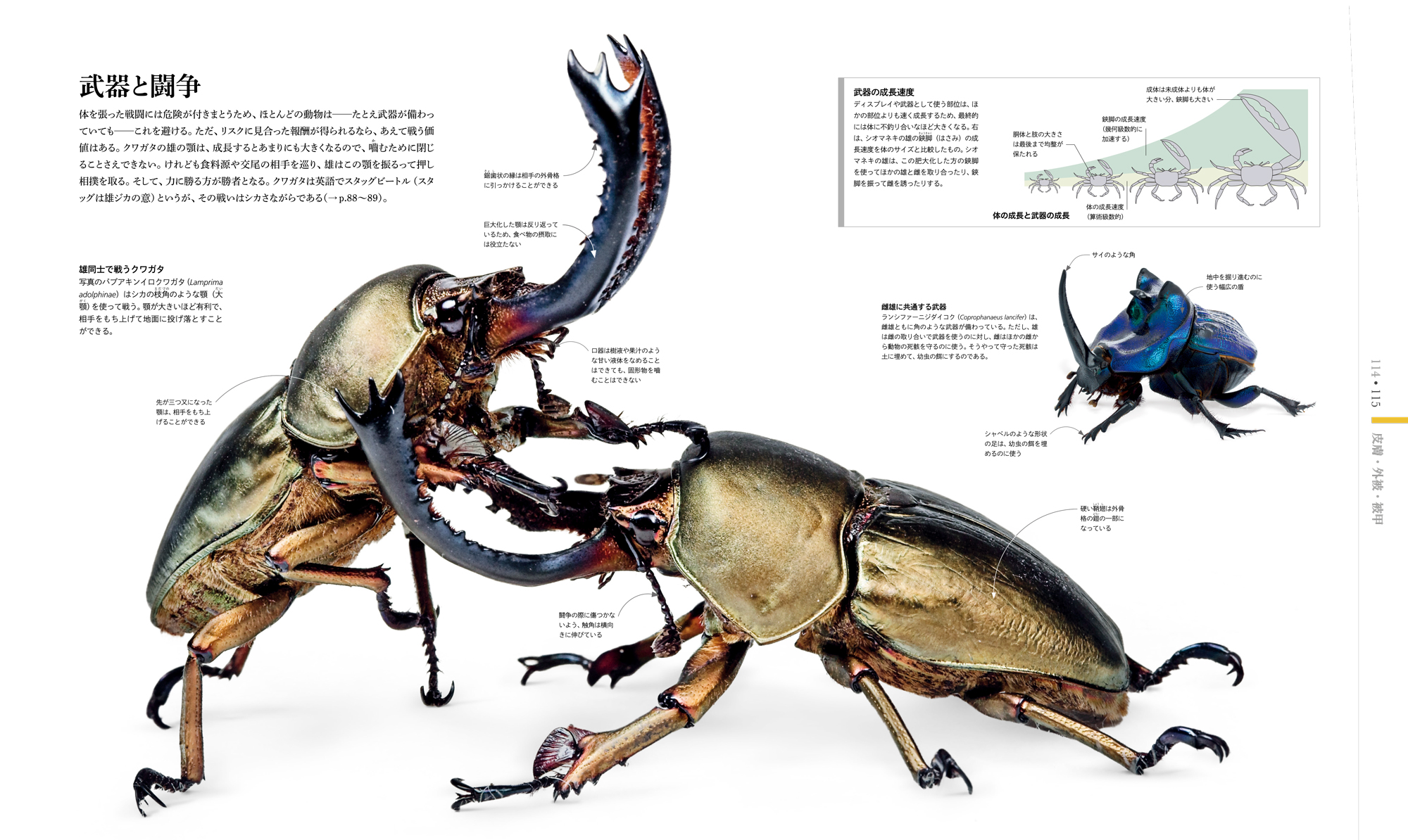 サムネイル画像2