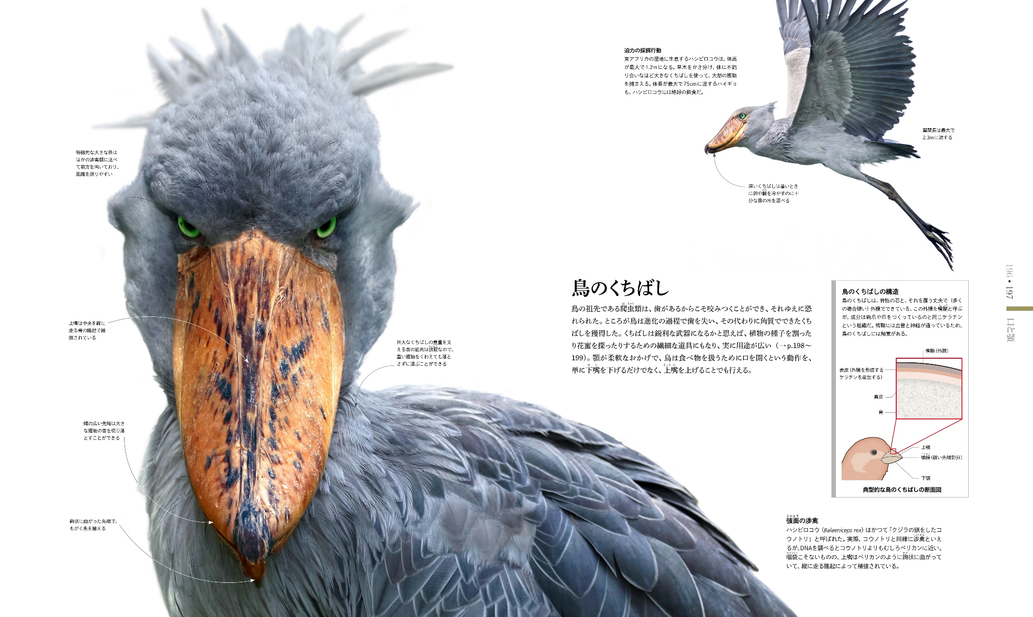 サムネイル画像4