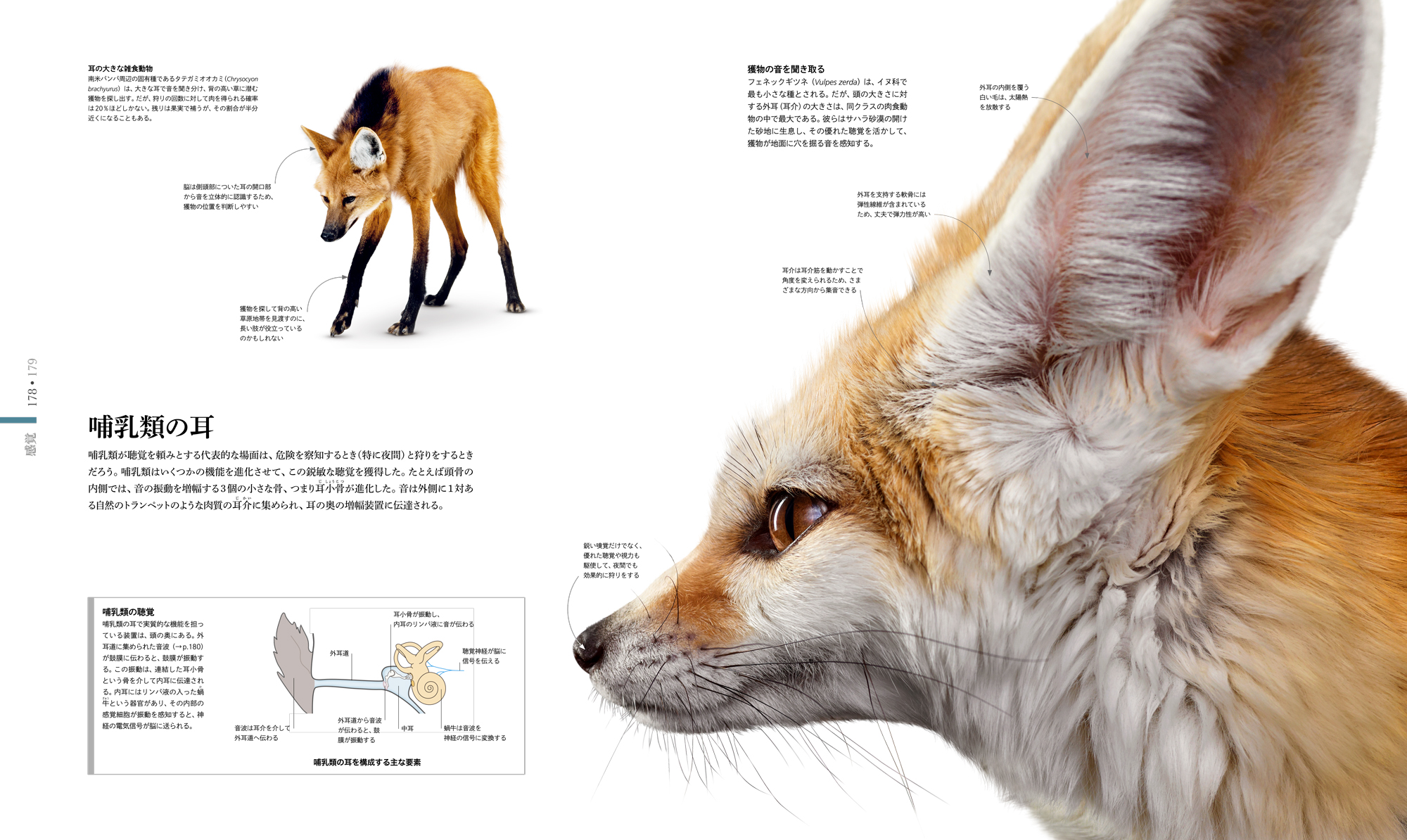 サムネイル画像5