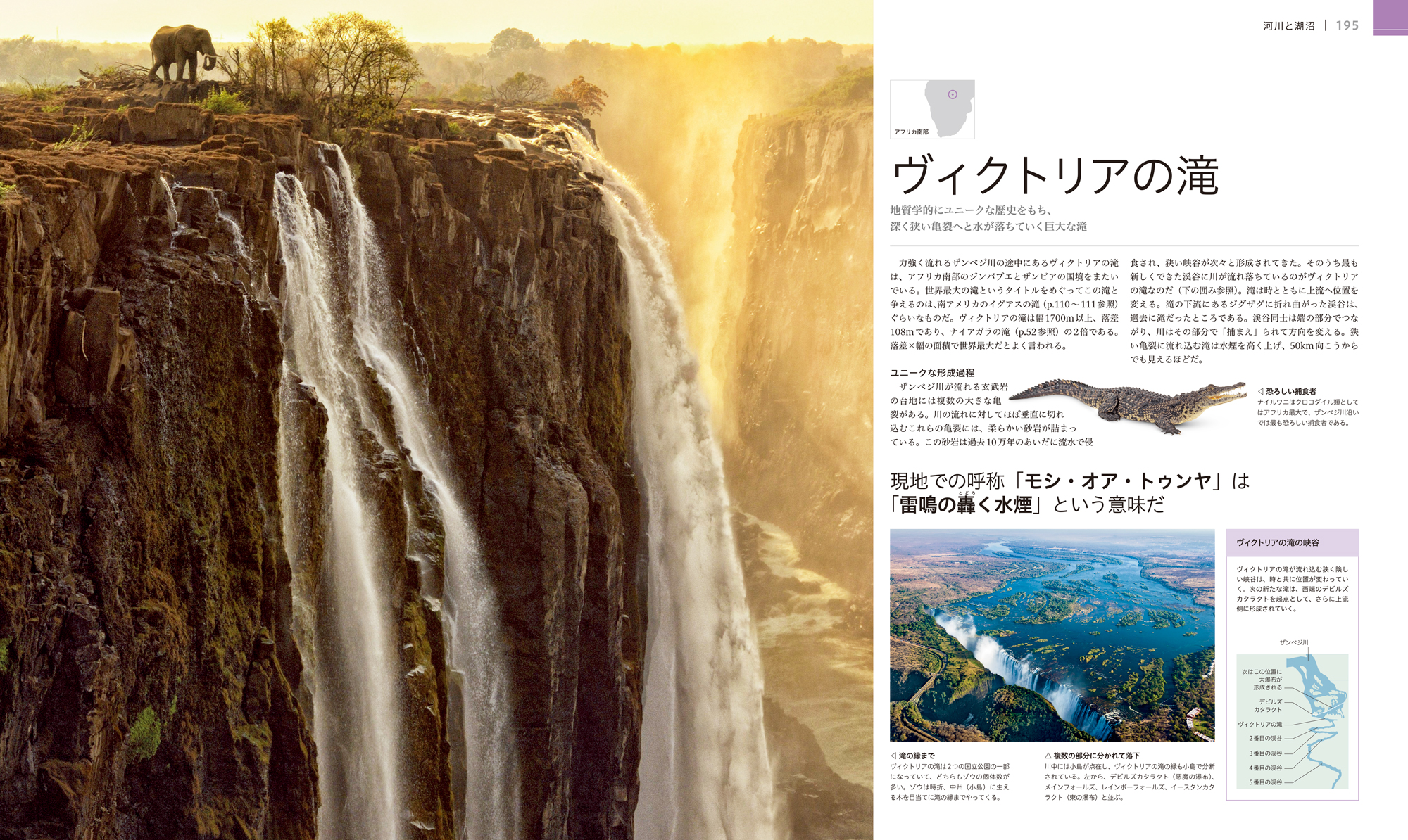 サムネイル画像4