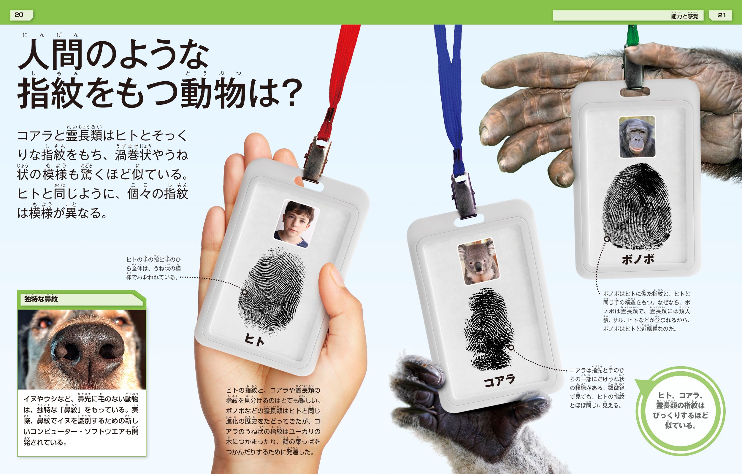 サムネイル画像2