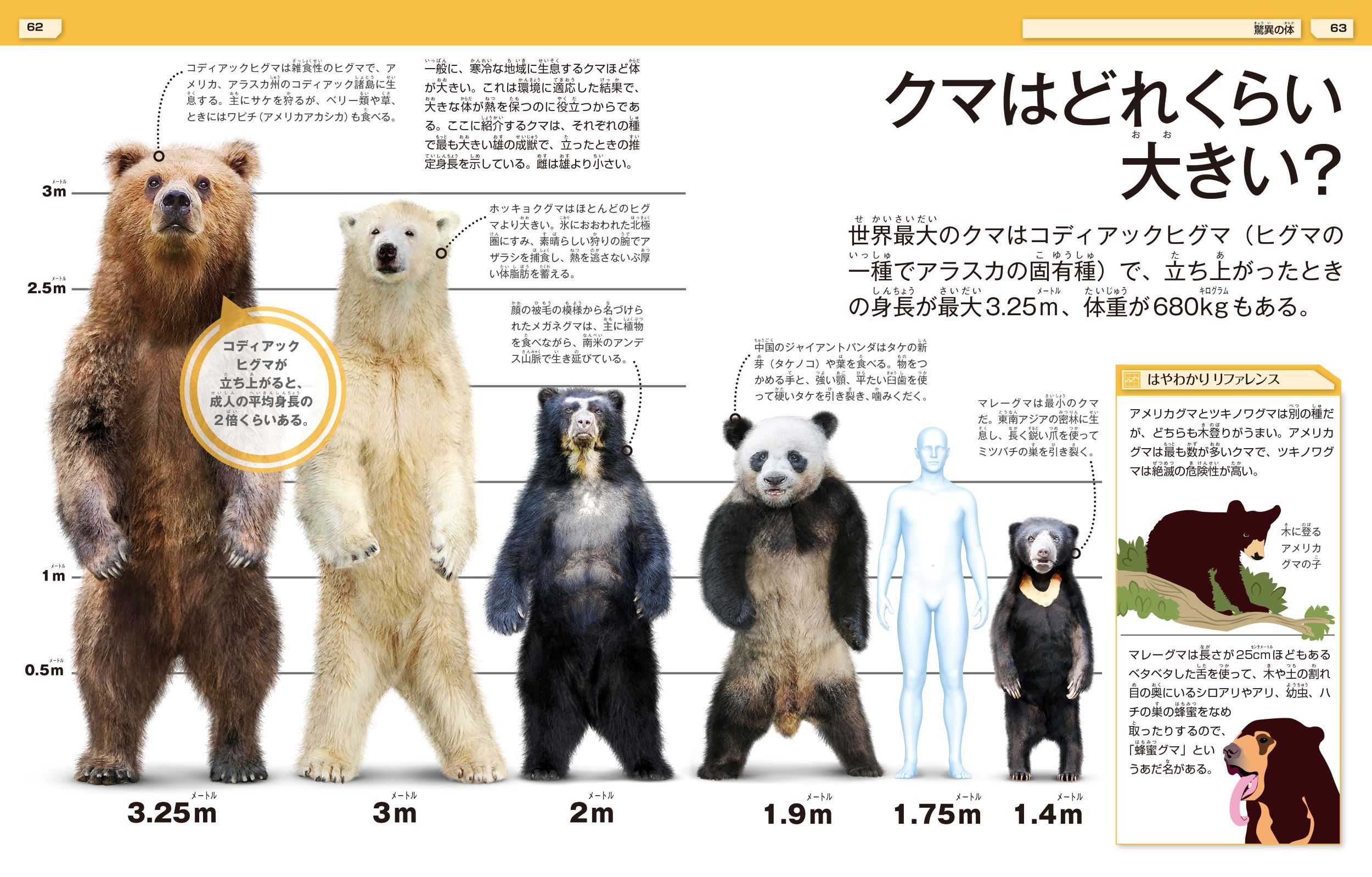 サムネイル画像4