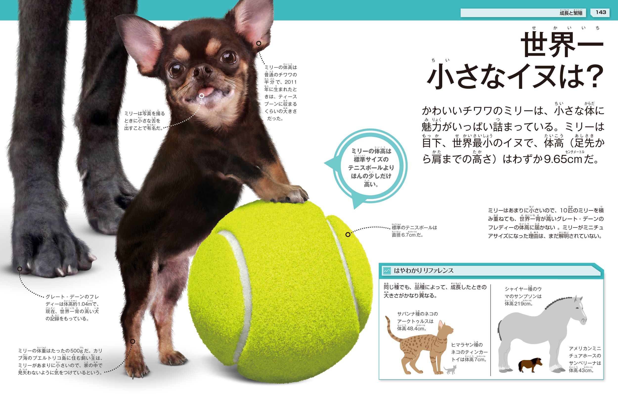 サムネイル画像5