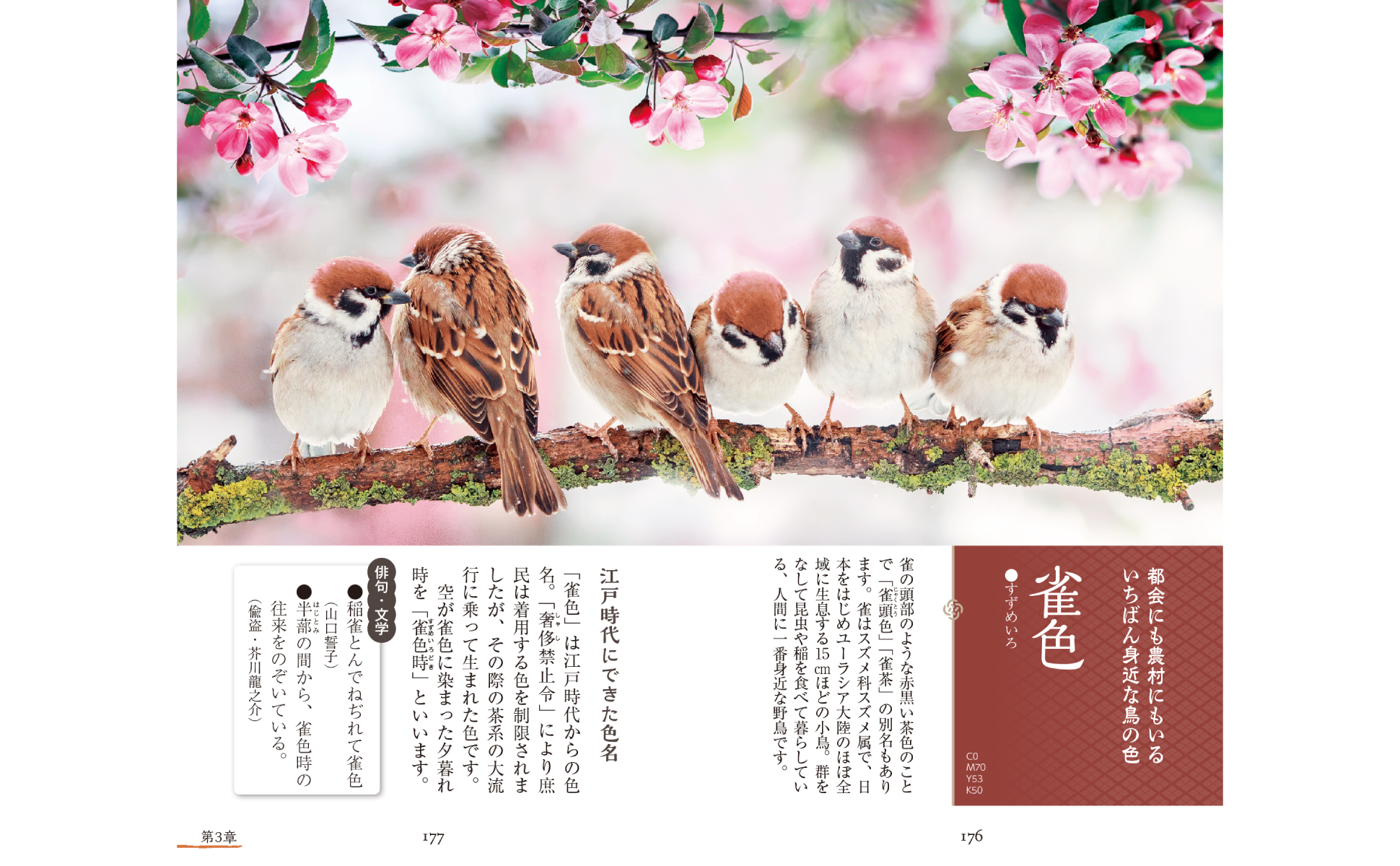 サムネイル画像4