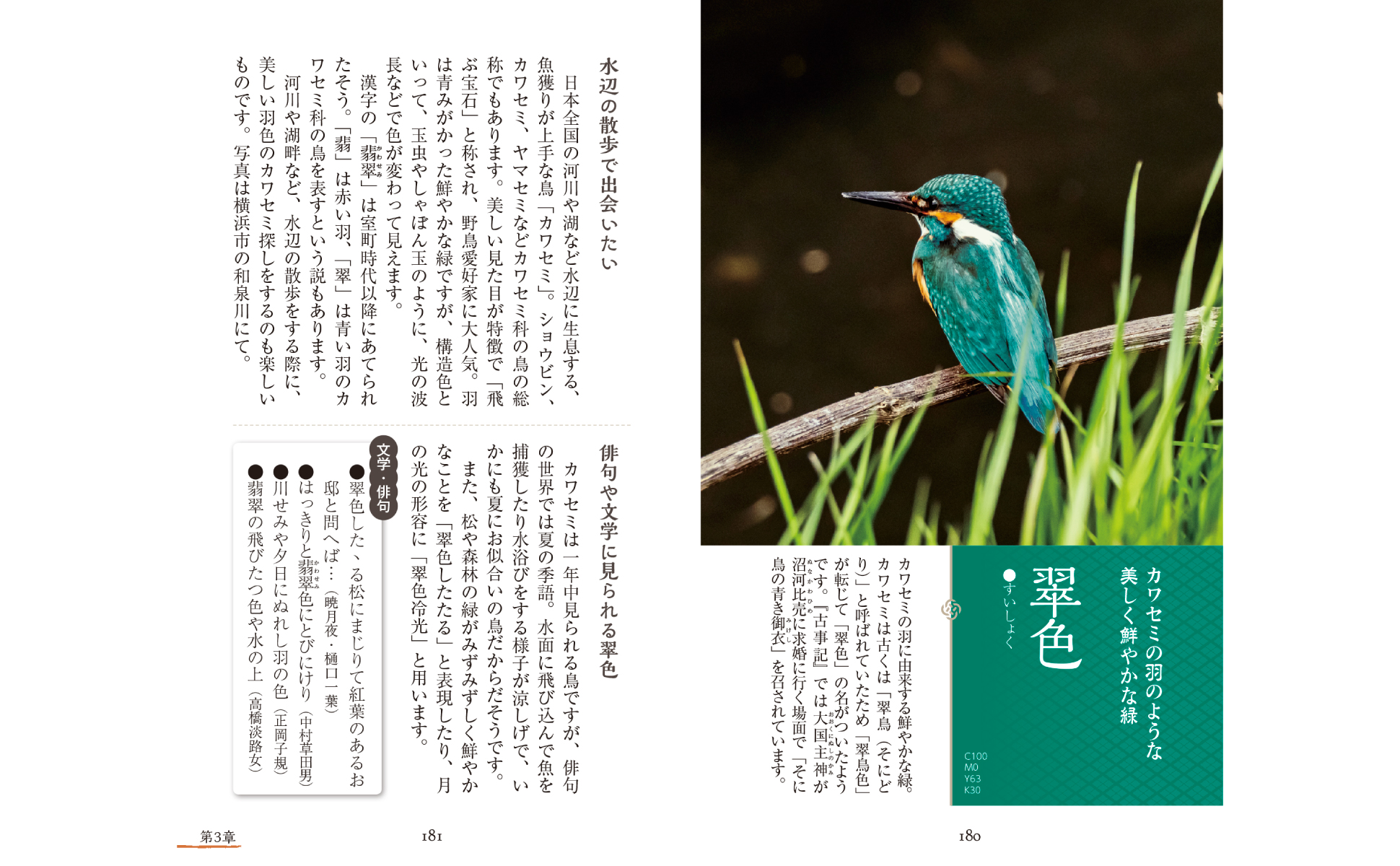 サムネイル画像5