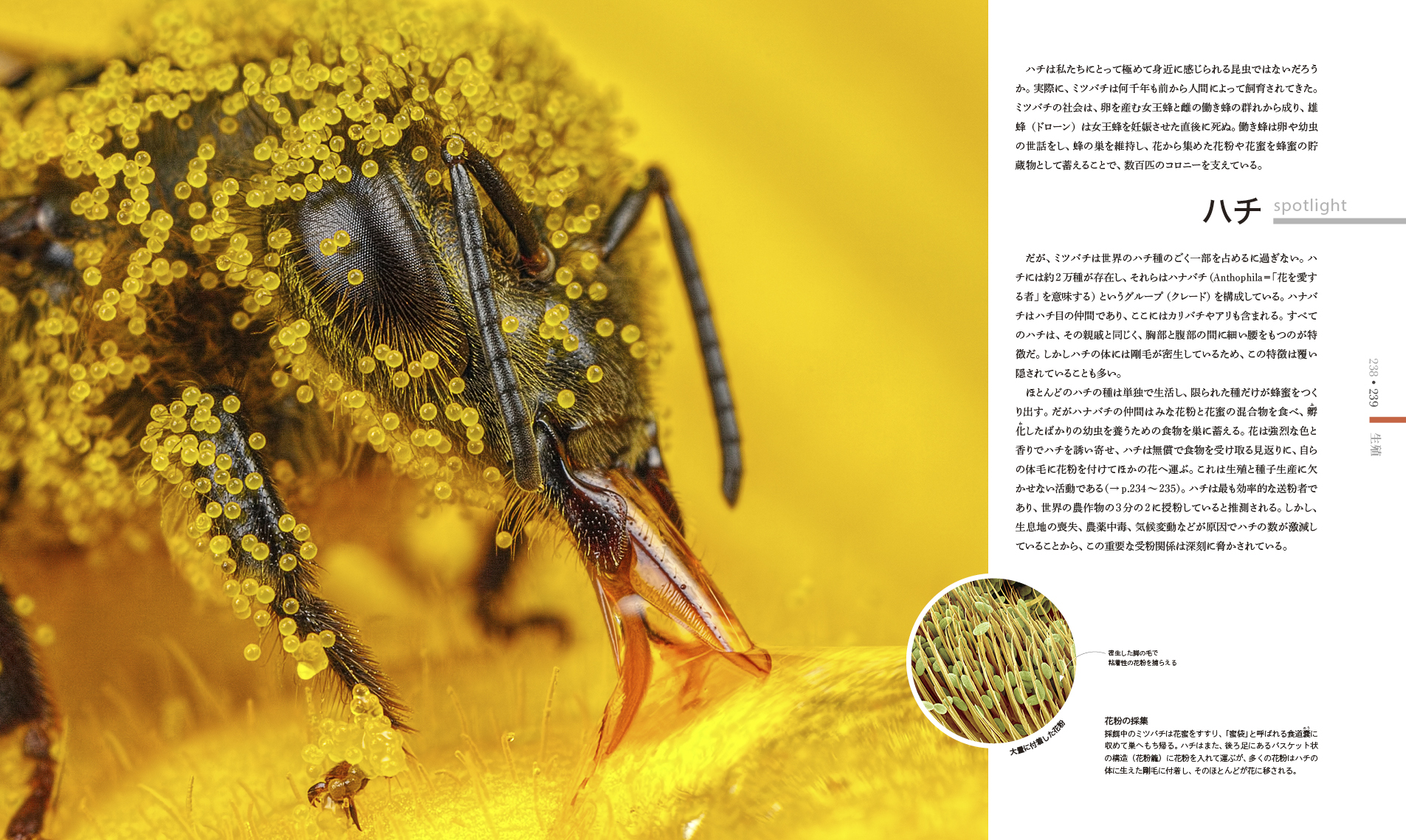サムネイル画像5