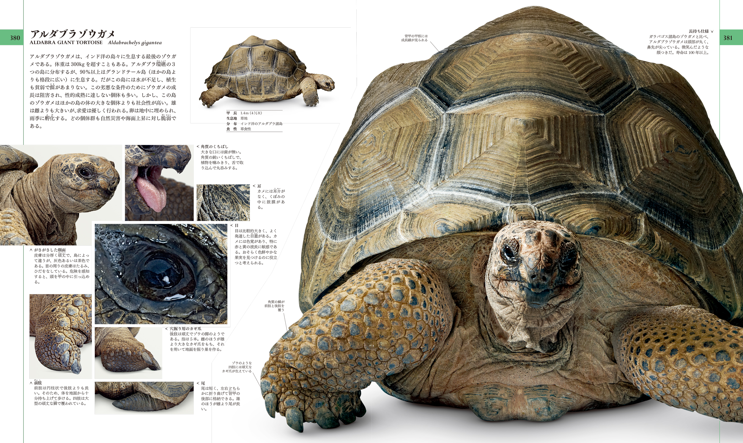 サムネイル画像6