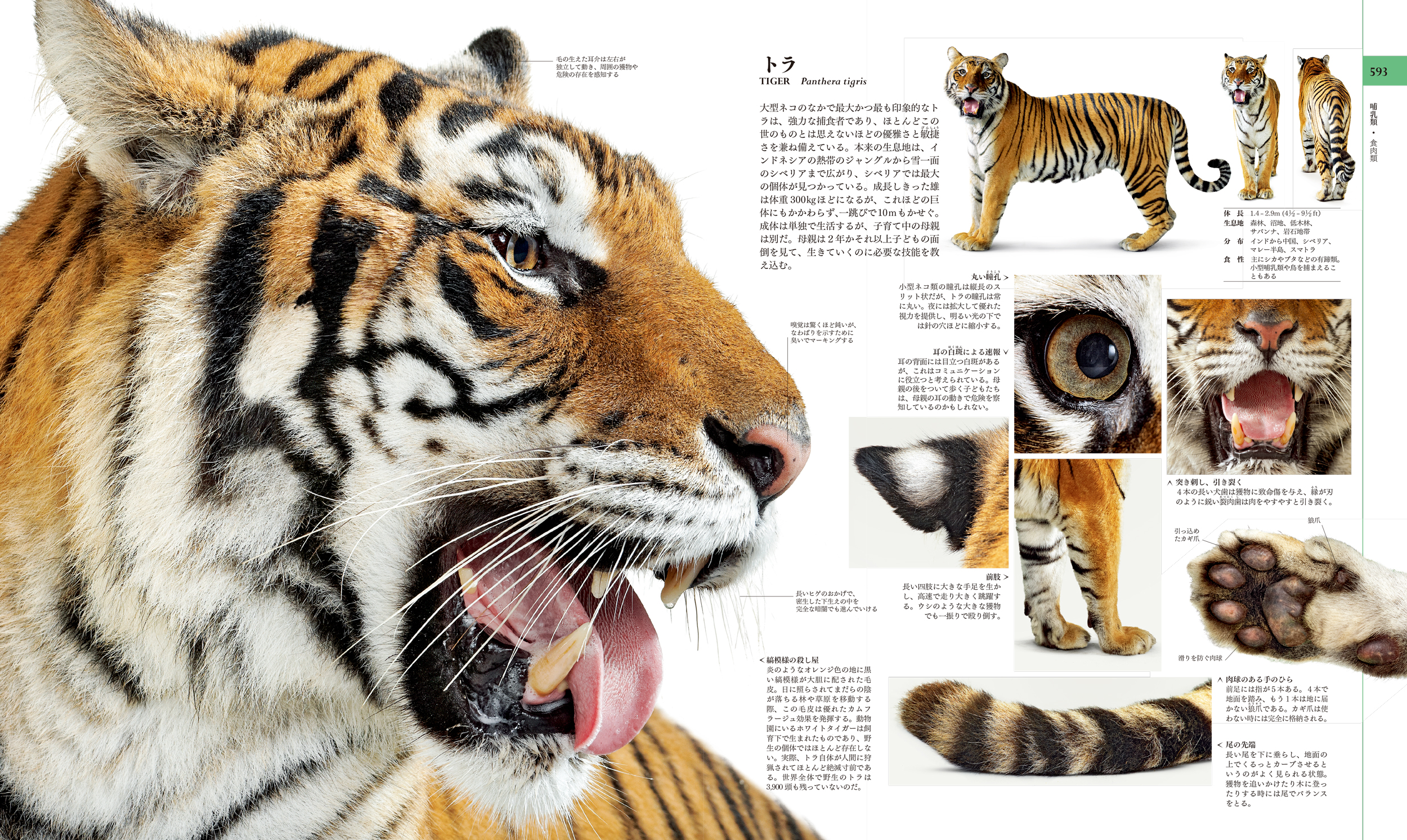 サムネイル画像9