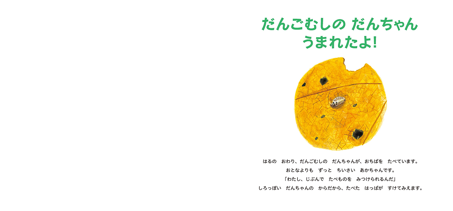 サムネイル画像1
