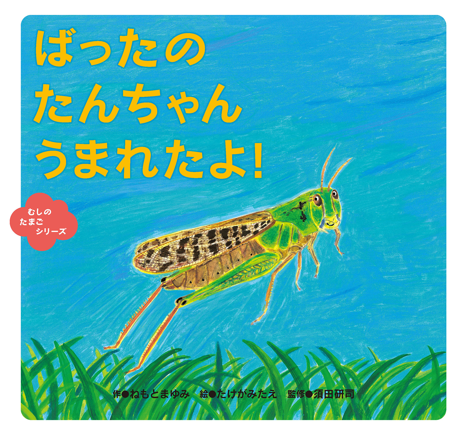 メイン画像
