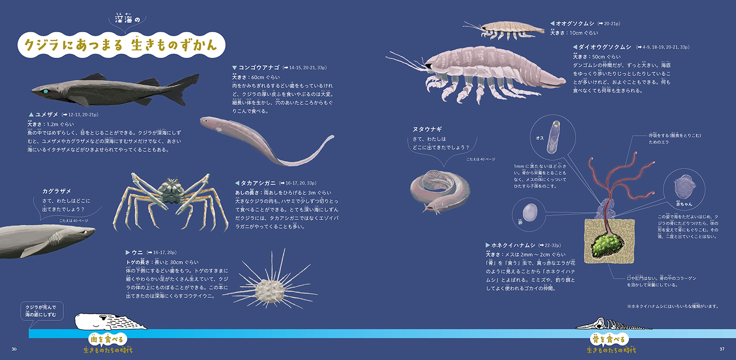 サムネイル画像6