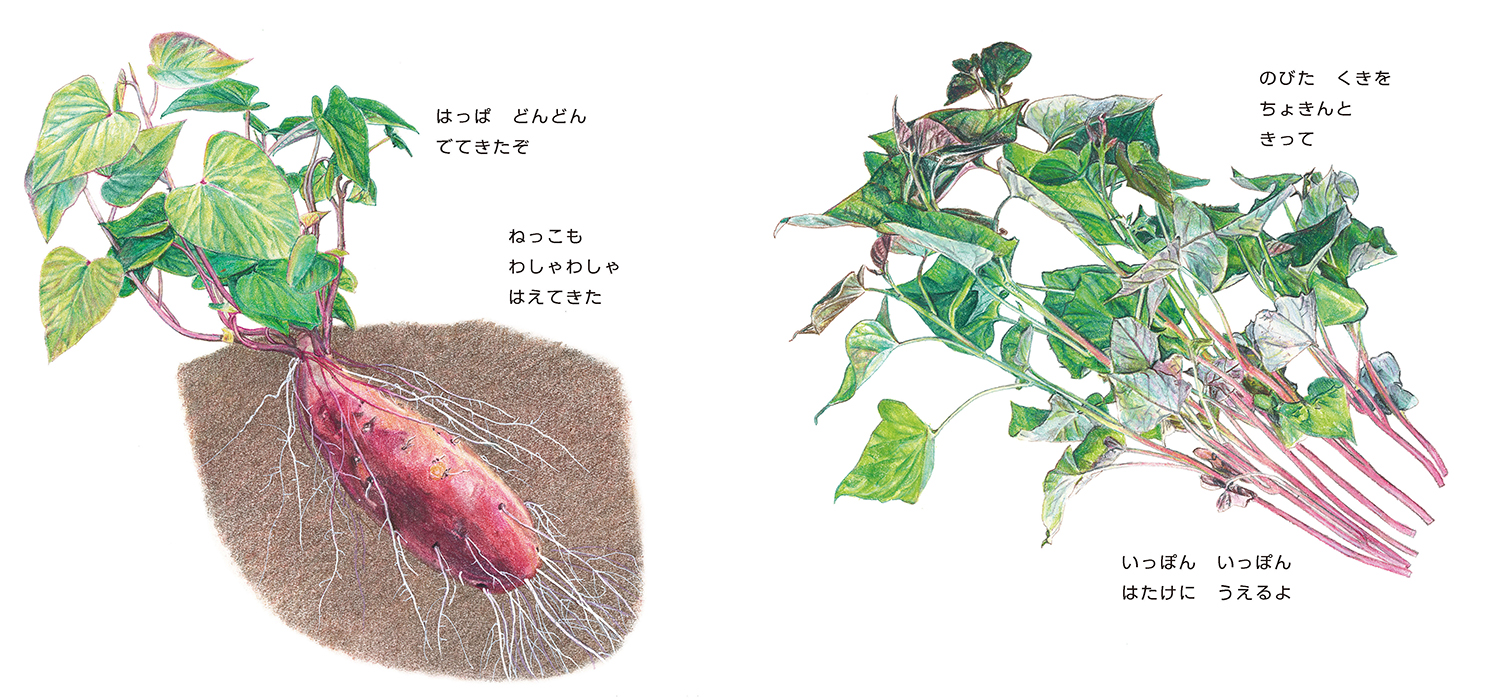 サムネイル画像2