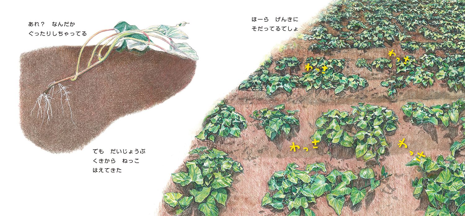サムネイル画像3