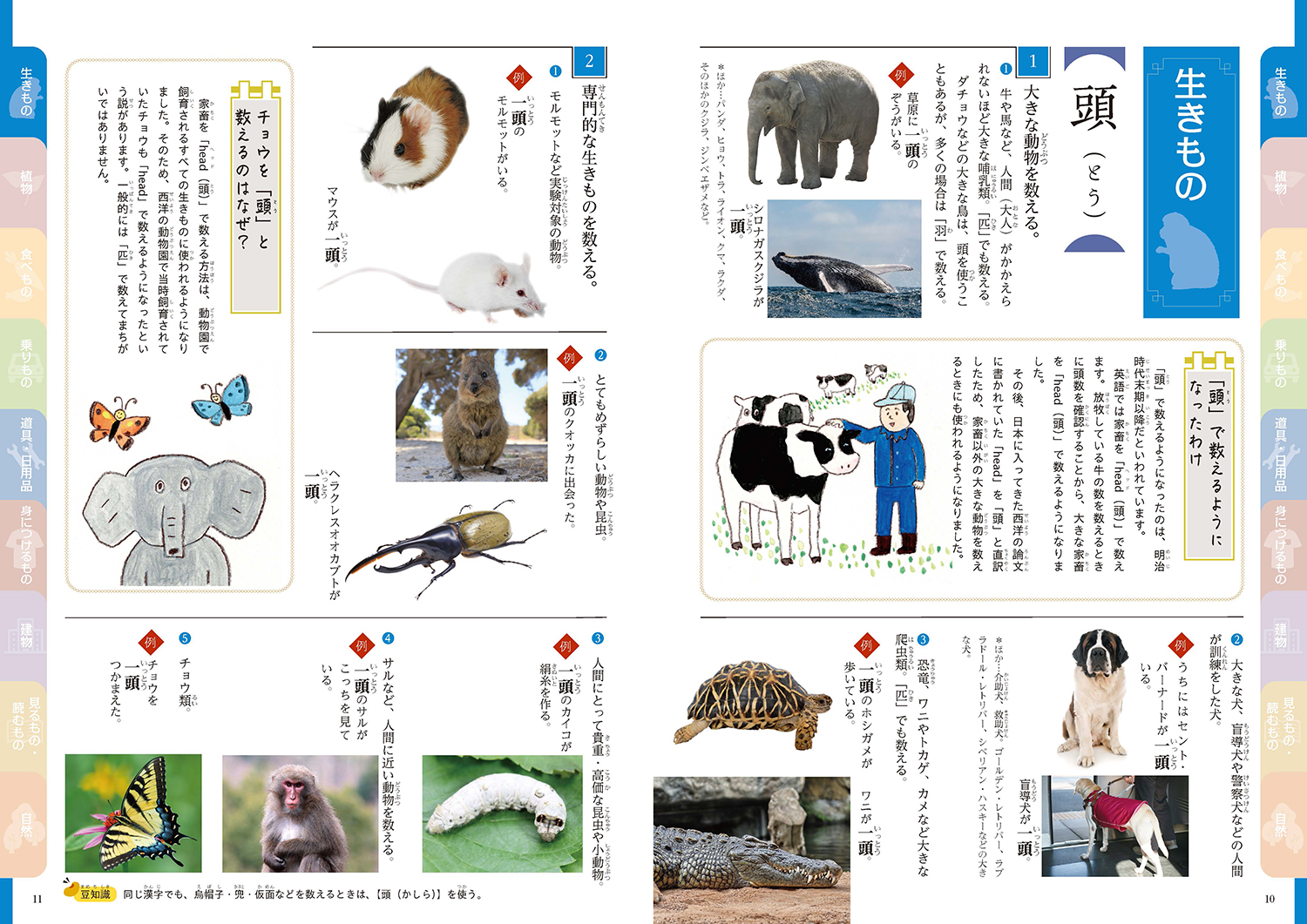 サムネイル画像5