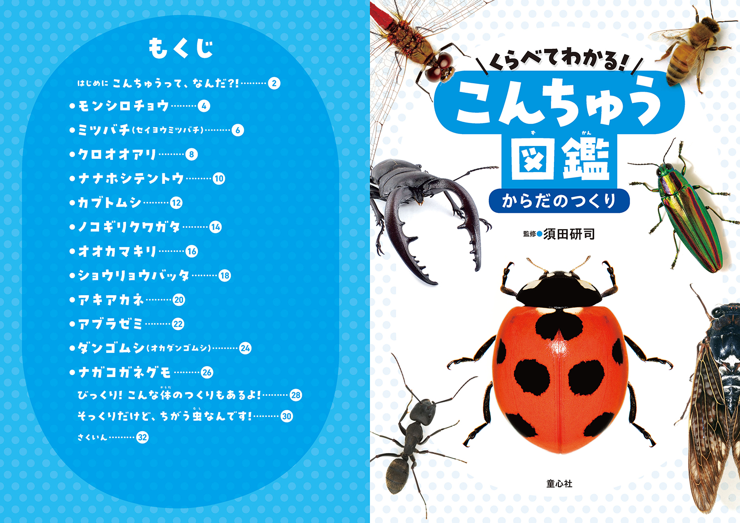 サムネイル画像1