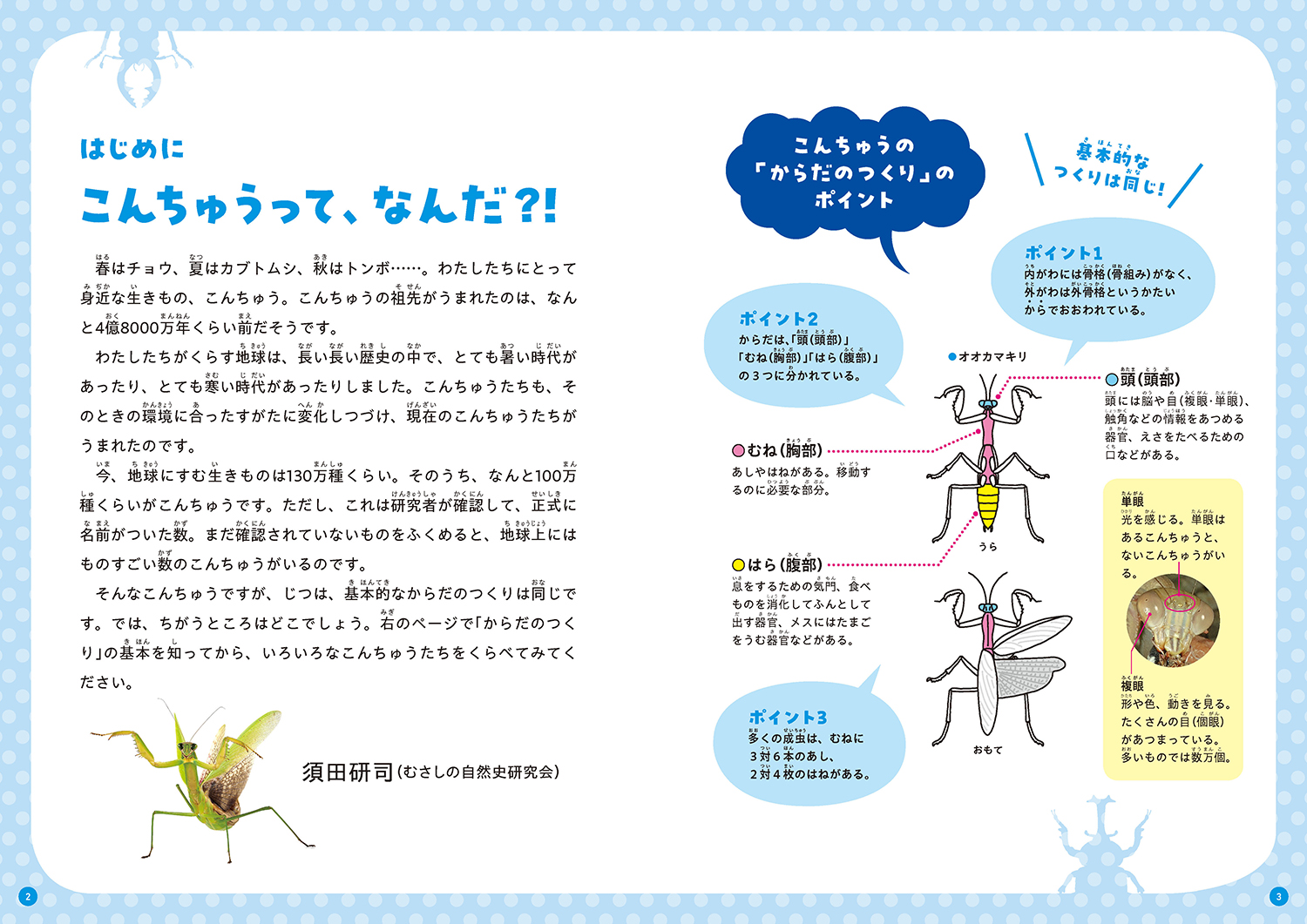 サムネイル画像2
