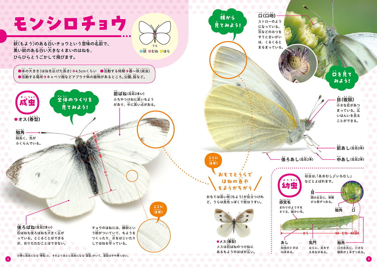 サムネイル画像3