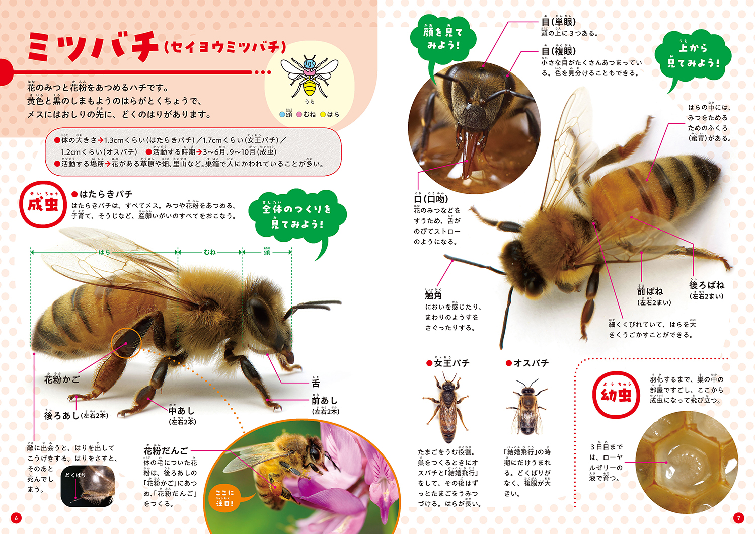 サムネイル画像4