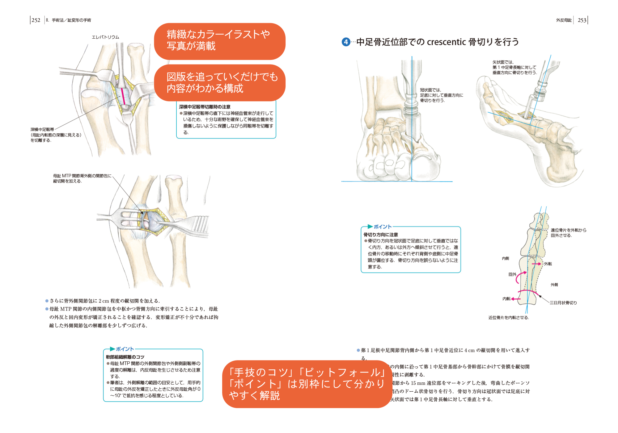サムネイル画像2