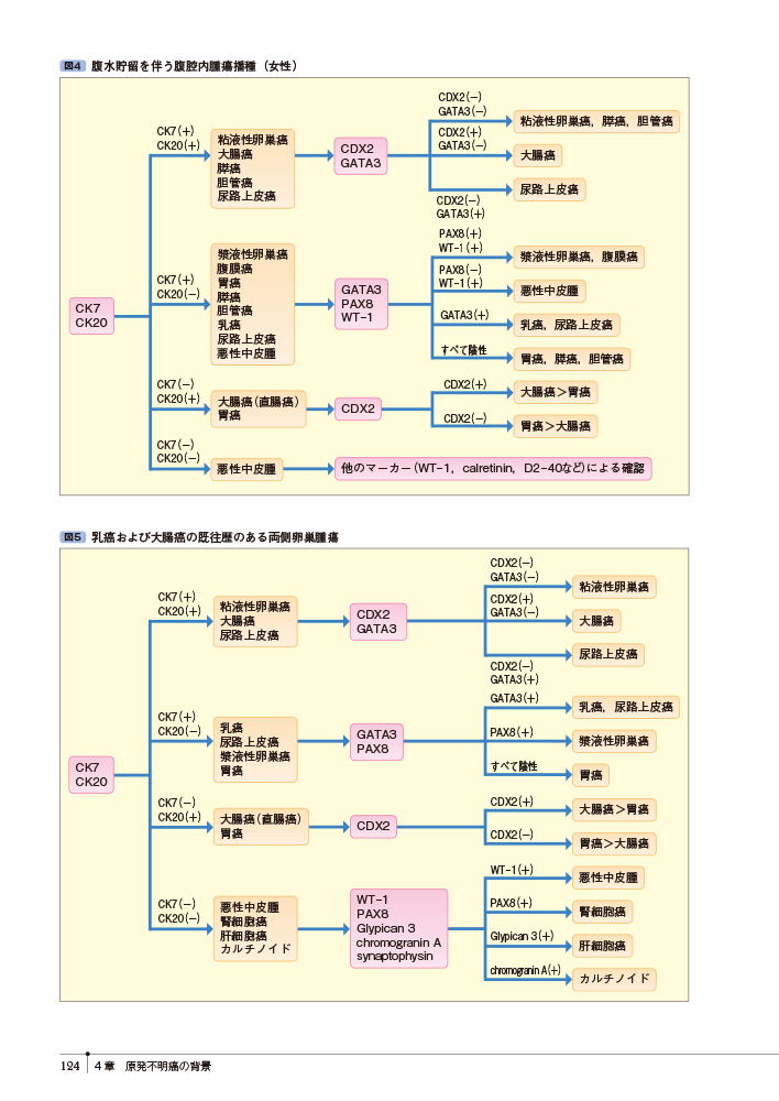 サムネイル画像2