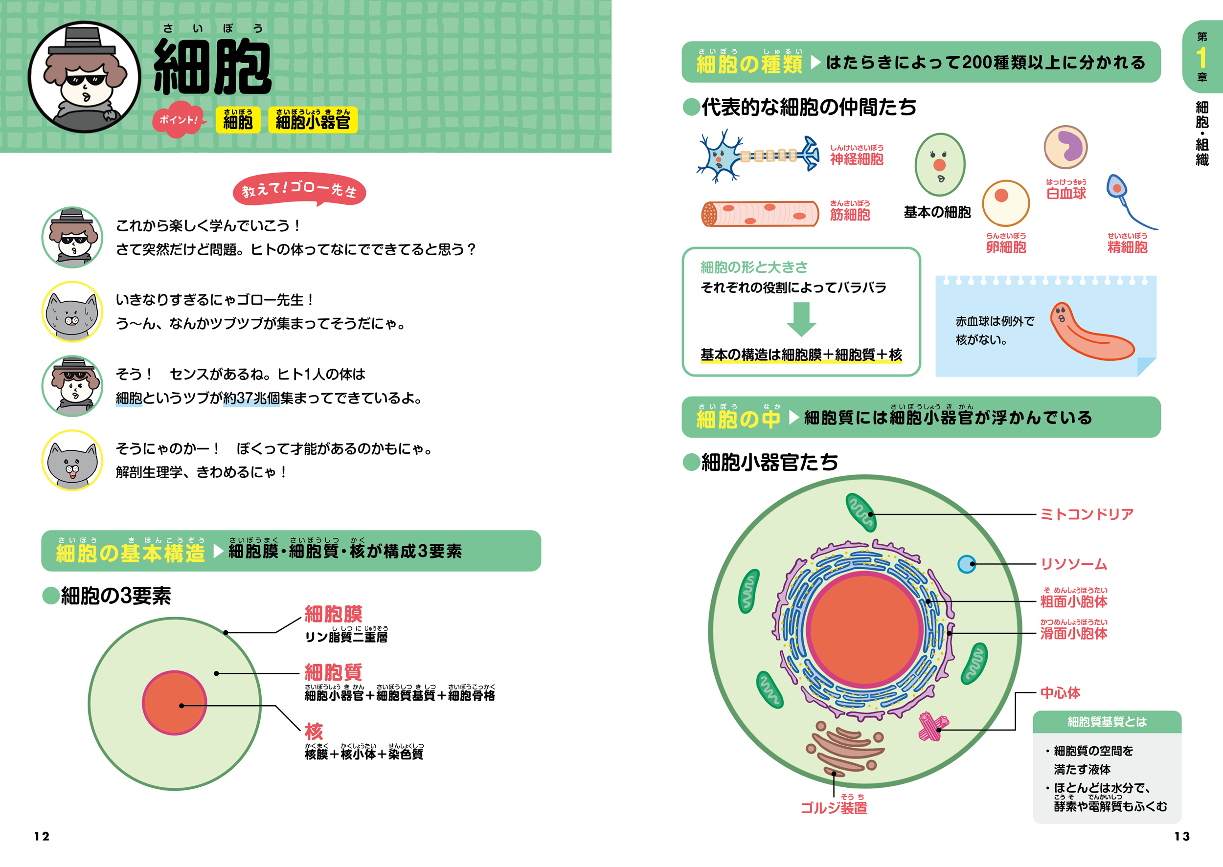 サムネイル画像6