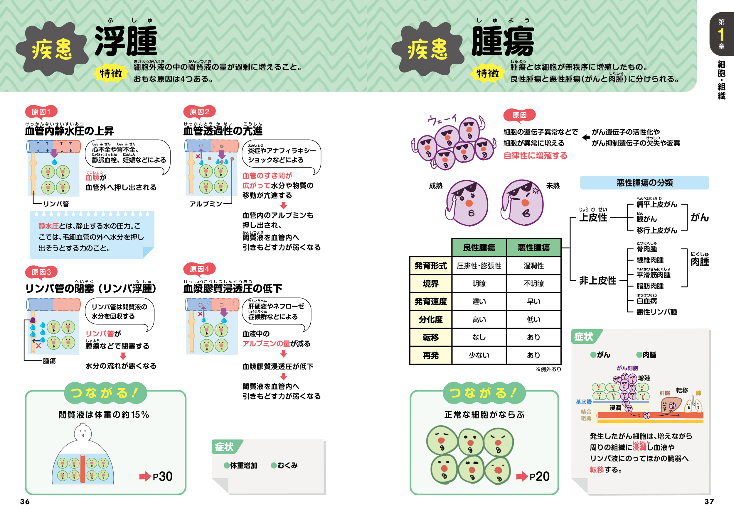 サムネイル画像7