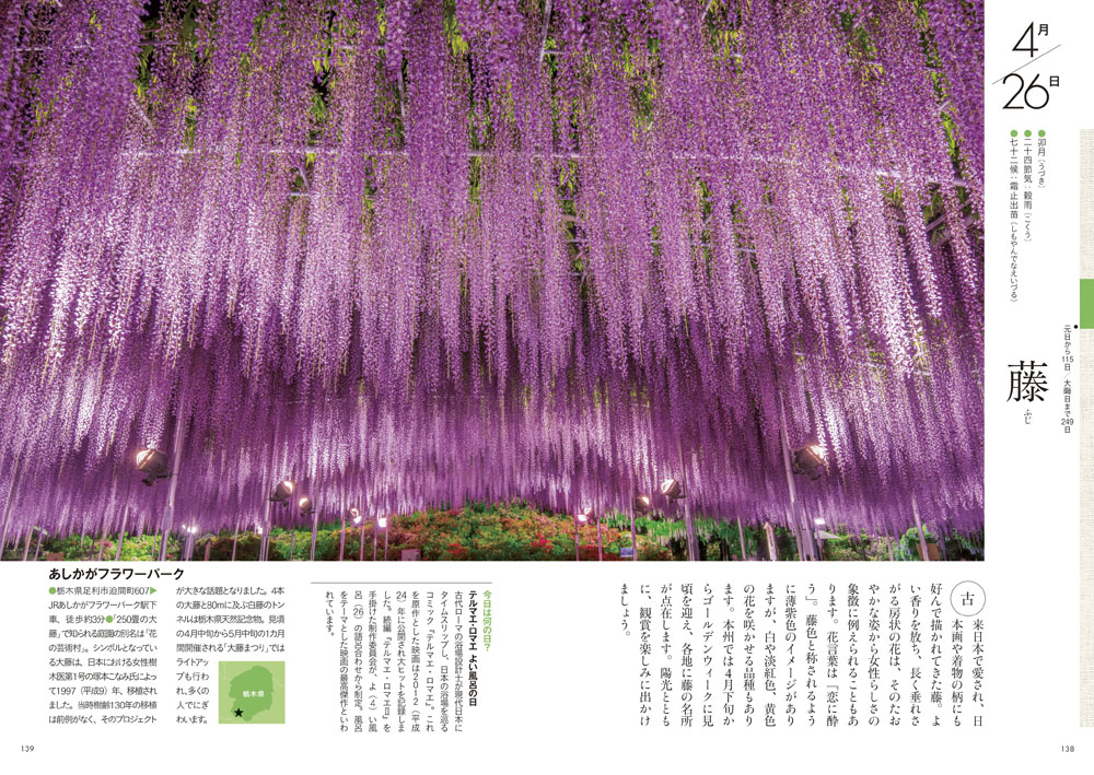 サムネイル画像4