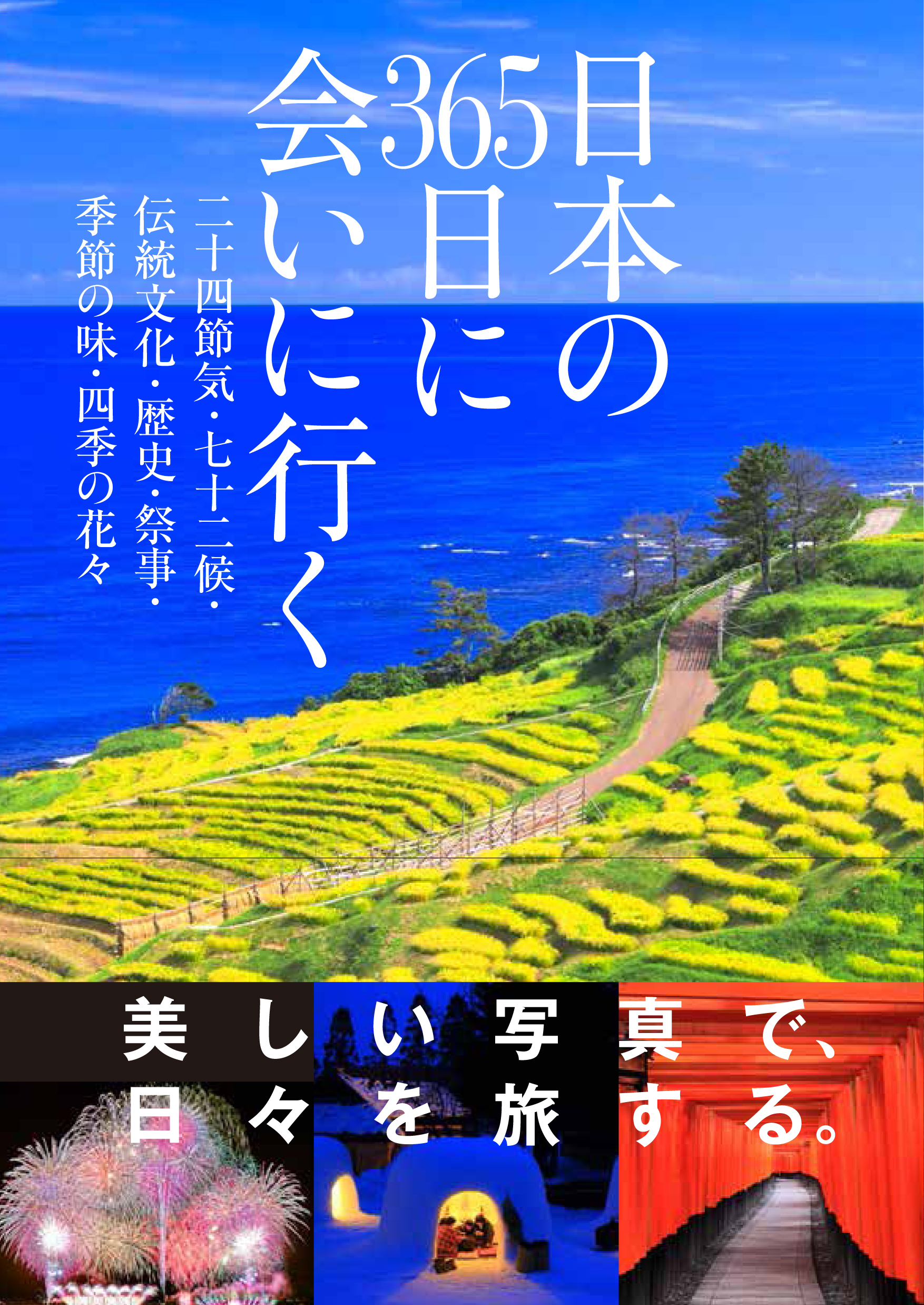 メイン画像