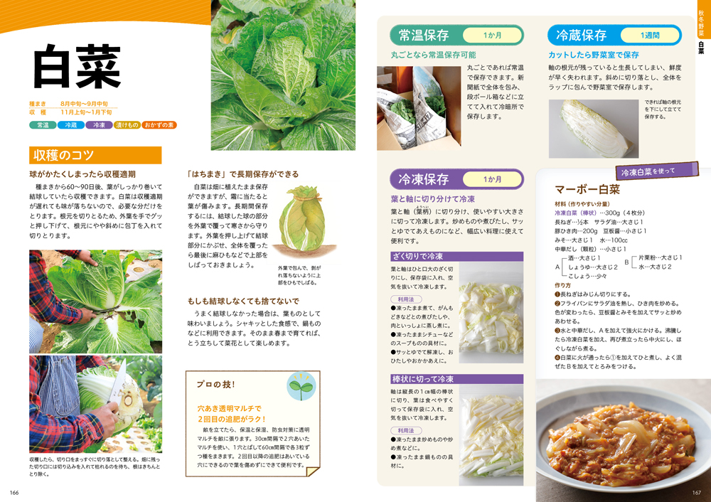 サムネイル画像5