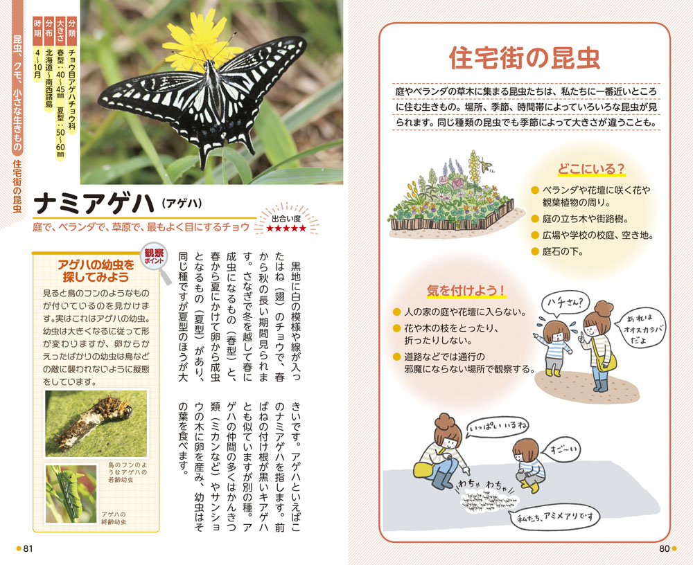 サムネイル画像5