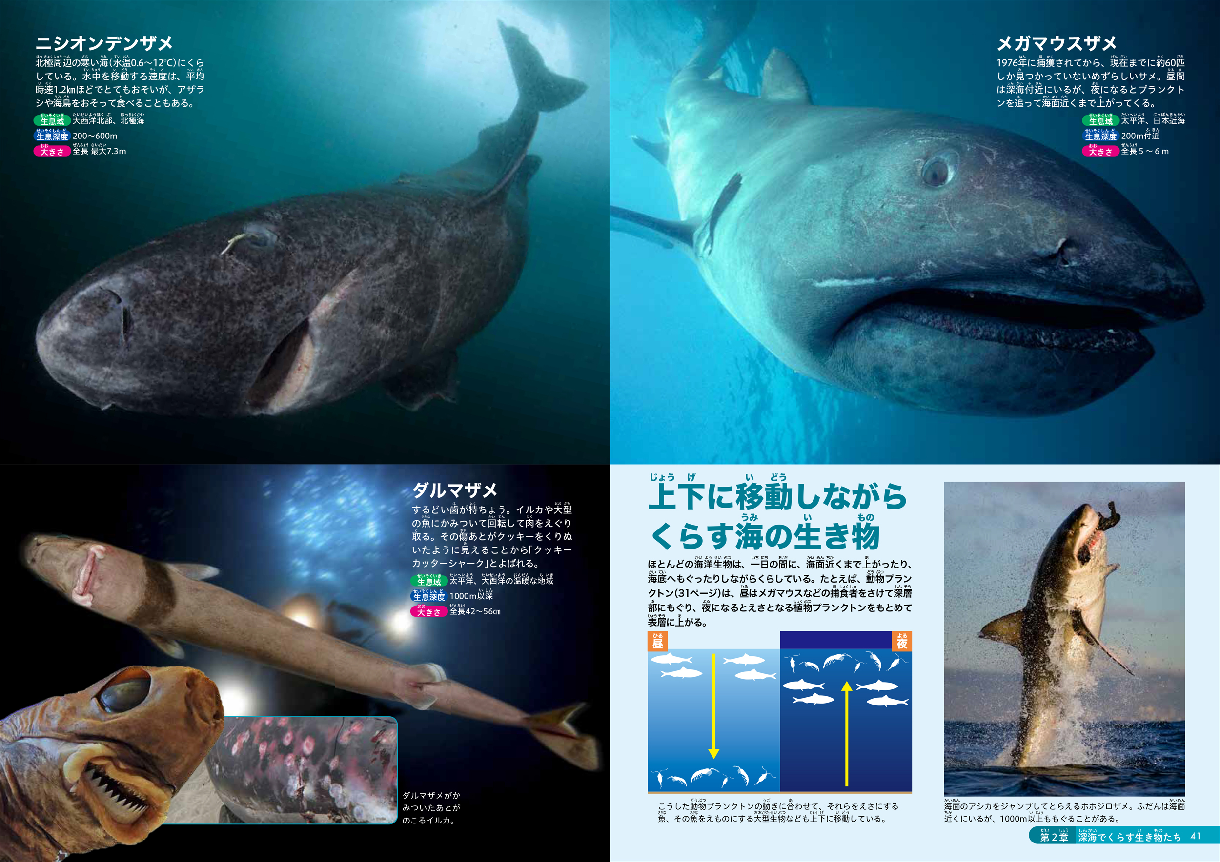 サムネイル画像4