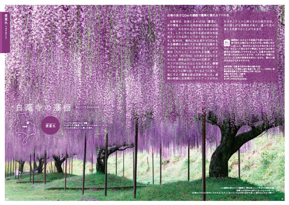 サムネイル画像5