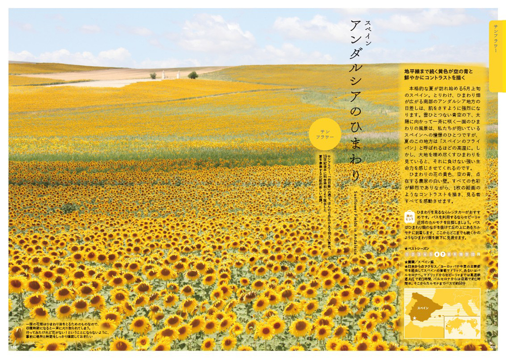 サムネイル画像4