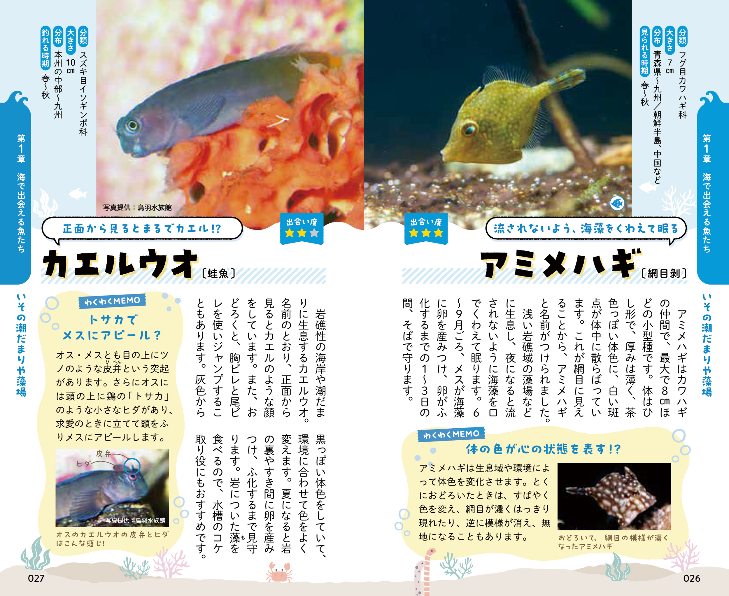 サムネイル画像4