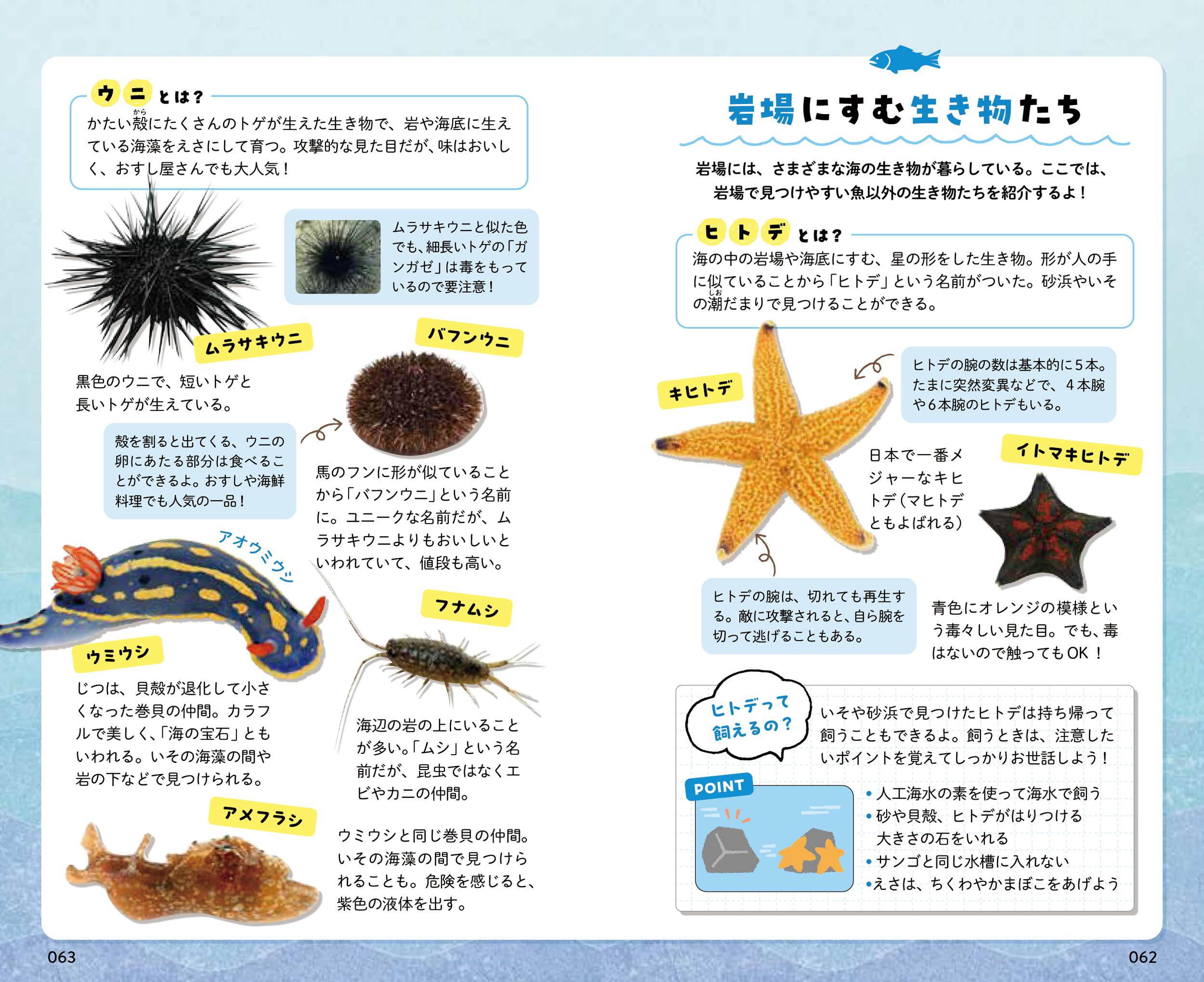 サムネイル画像5