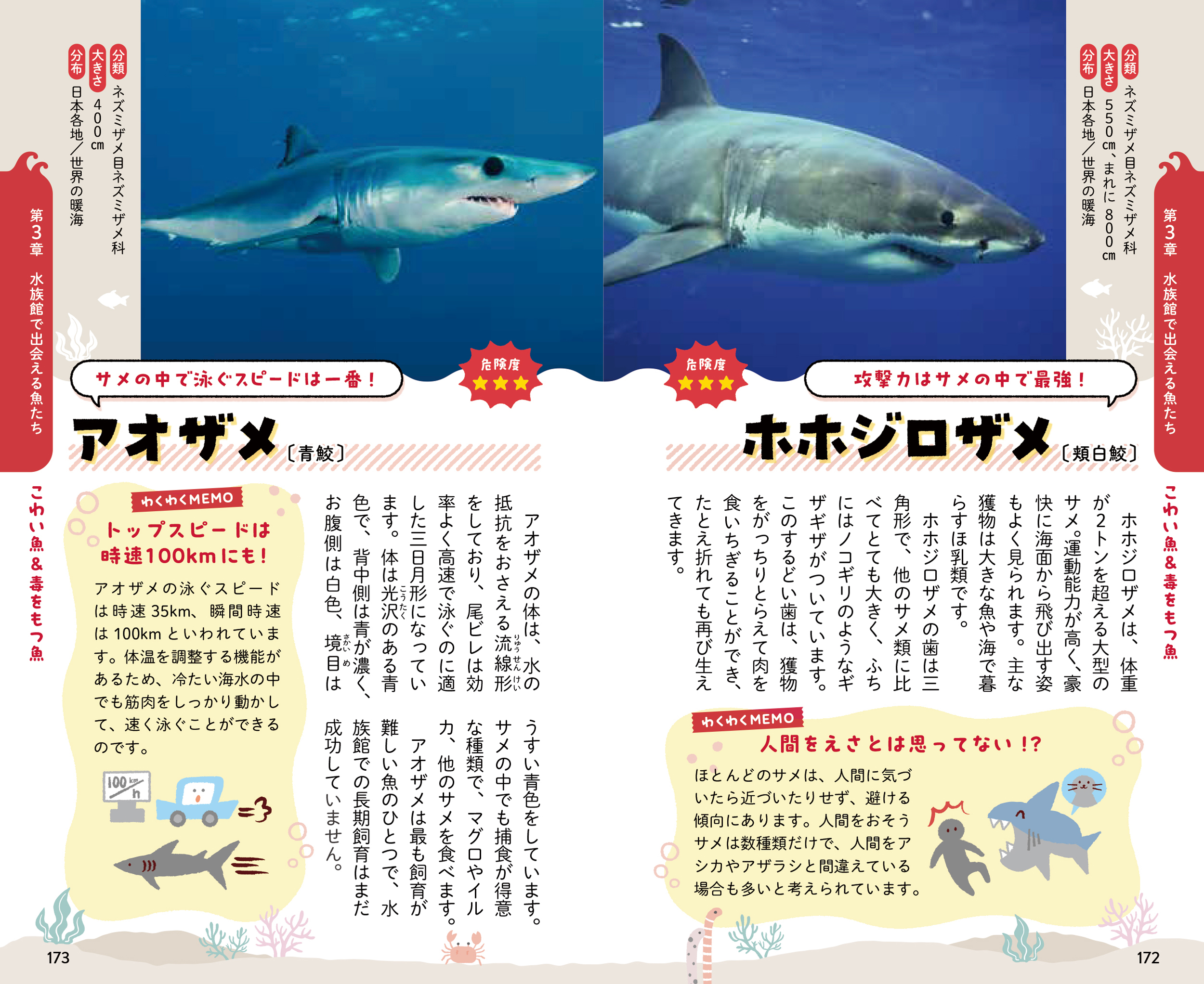 サムネイル画像6